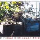 송정동-25 이미지