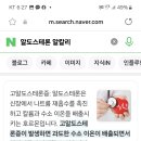 알도스테론즈 노르에피네프린 도파민 근손실 백승태 한성원 육시우 황현석 한꺼번에 덤벼도 이기는데 꼬사칭말고 ㅋ 악력세자리 ^^ 이미지