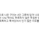 동화상회