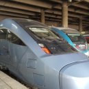 창우목장 | [2021년 결산] 2021년 신축년(辛丑年) 기억에 남는 일 10가지