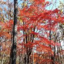 홍천(양양) 이미지