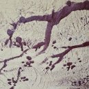 수궁회관 이미지