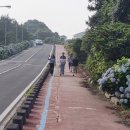 김종하 농장 | 여가마을 체험후기