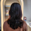 로이드안양점 | [산본역 미용실] 로이드밤 산본역점 레이어드컷 펌 이곳! 채연 수석디자이너 루이시스 딥클리닉 후기