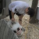 경남LPG가스충전소 | 카라반 장박 중 LPG 가스 충전하러 간 여주 하루 코스｜여주 대성충전소 이용 후기