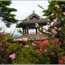 오리정 - 금천구 | 오리정