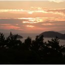 산양일주도로가로수 이미지