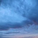 독도 탐방 20년 (인용글) 이미지