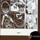 향호1리 이미지