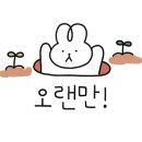 이리제(IRISE) 이미지