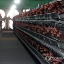 친환경우리농장 티스토리