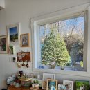 자매의하루 | [평창 우정스냅] 무모네사진관 자매 우정샷 후기, 겨울·크리스마스 스냅