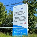 용주골낚시터 이미지