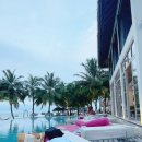 팜 라이프 | 리조트 추천/말레공항/올인클루시브/오젠라이프 마두 후기/더 팜(the palm)식당 후기/오젠마두 풀바 후기