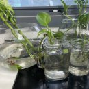 달코살롱 이미지