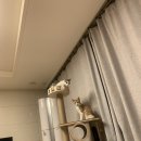 안녕고양이 | [고양이 용품] 오브바이포 베이직 캣폴 사용 후기
