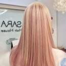 헤어볼하우스 이미지