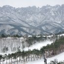 공감 Compassion 이미지