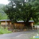 반구대민박 이미지