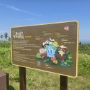 주는나무 주식회사 이미지