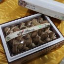 지민이네 농장 이미지