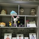 프렌즈 아카데미 동탄 PRO | 동탄 골프레슨맛집 - GDR 레이크프리미엄 골프아카데미 레슨 후기