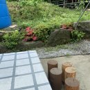 국화펜션 이미지