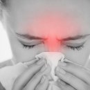 세림동물병원 이미지