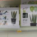 지에스25 아라타운점 이미지