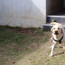 제주애 펜션 이미지