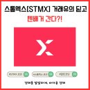 스톰엑스