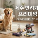 도청 명품 크리닝 | "청소업계의 에르메스?" 제주 SAT가 지나간 자리, 먼지가 아니라 '광택'이 남습니다