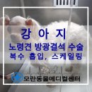 모란동물병원 이미지