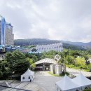 하이원 그랜드호텔 이미지