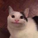 양심부동산중개 | [90년대생 신혼부부 서울 역세권 아파트 매매 후기 06] 1년만에 N억오른 아파트