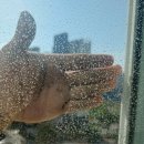 성문아파트 | 광교 아파트 유리창청소 비용 ,외창청소 전문 업체 후기