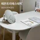 레몬트리 | 광안리 피부관리 레몬트리에스테틱 남천점 여드름관리 후기