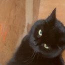 청산마트 이미지