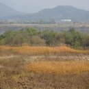 여강길(7코스 부처울습지길) 이미지