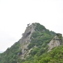 용정사 입구 Daum카페