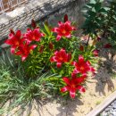 신성펜션 이미지