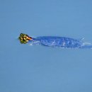 풍산마을 이미지