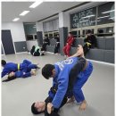 화랑 합기도 & 주짓수 이미지