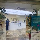 사랑의안과의원 이미지