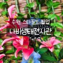 수원 스타필드 나비생태전시관 다흑 팝업스토어 22개월 아기와 특별한 체험 후기