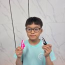 용인대성서태권도 이미지