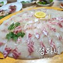 NR-1[고하대로]-상-19 | 목포 횟집 정화네, 가수 박지현도 반한 북항회센터 맛집! 참돔+반상차림 후기