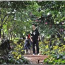 카멜리아힐 이미지