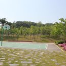 대덕동체육시설 이미지