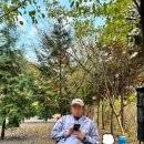 불로고분공원 | 울산 근교 캠핑장 명수원 편백3 사이트 후기 (가을편)